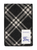 Burberry Scarfs