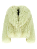 Blancha Mongolia Fur