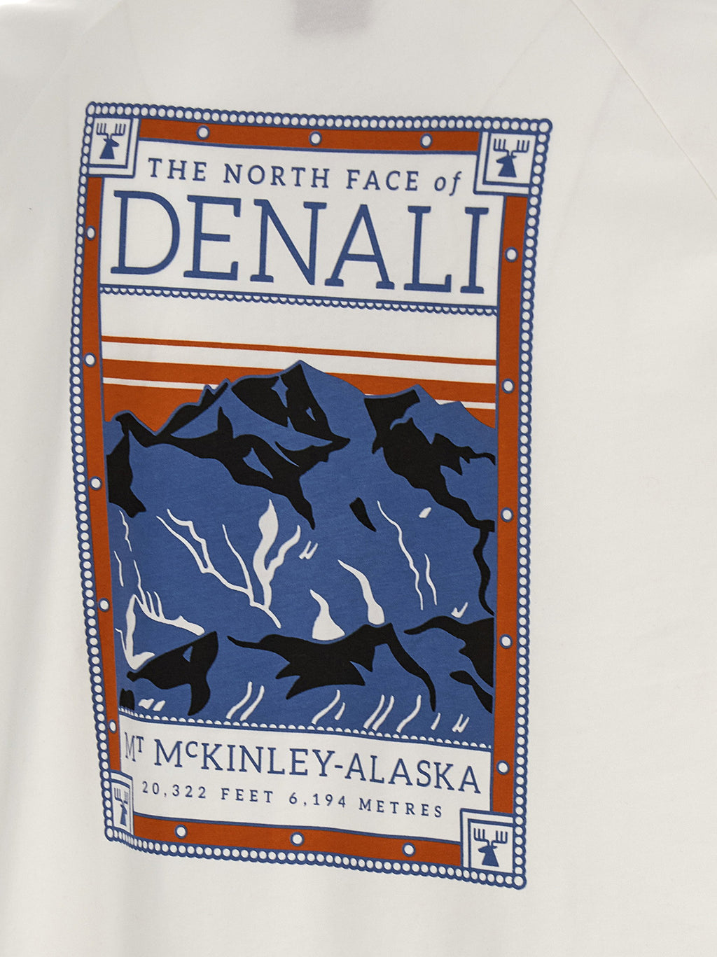 The North Face North Faces T-shirt